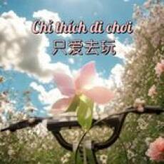 Chỉ thích đi chơi - 只能去玩