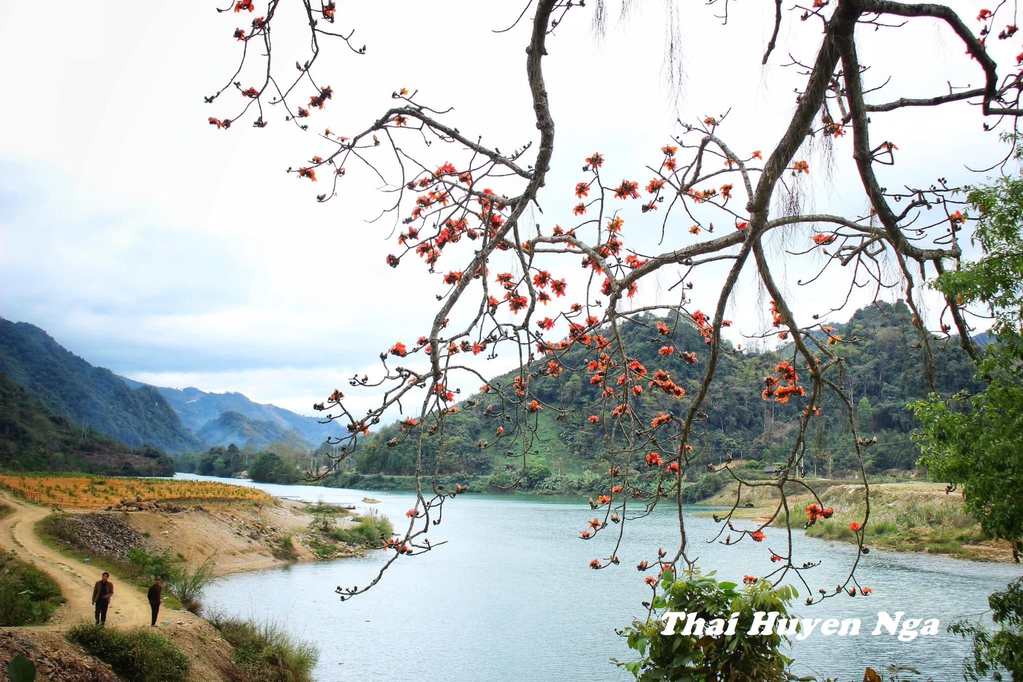 Thái tử gia Quảng Đông là đầu bếp, không phải phật tử