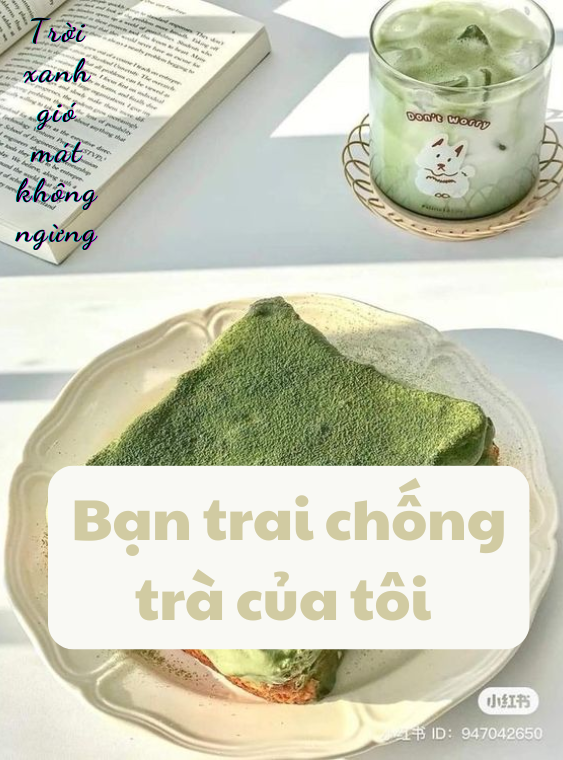 BẠN TRAI CHỐNG TRÀ CỦA TÔI