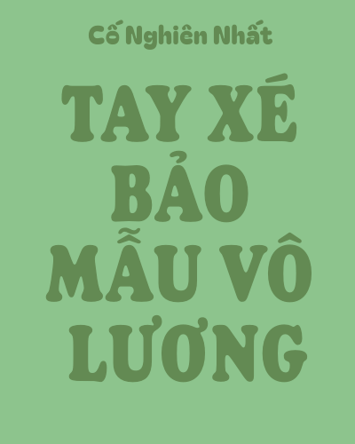 Tay Xé Bảo Mẫu Vô Lương