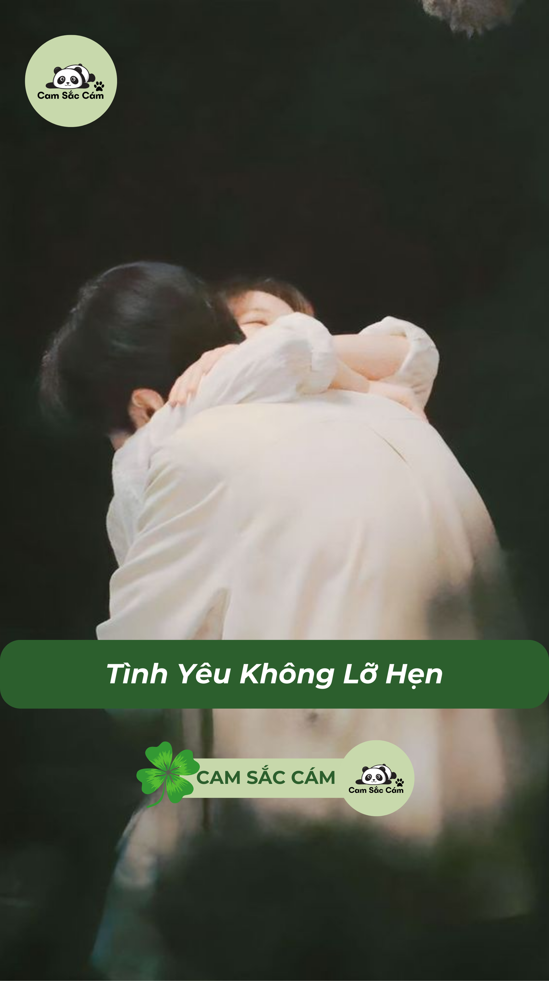 Tình Yêu Không Lỡ Hẹn