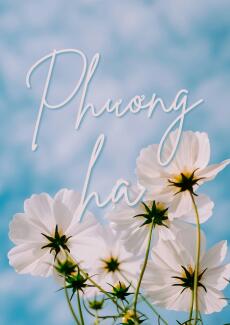 Phương Hạ